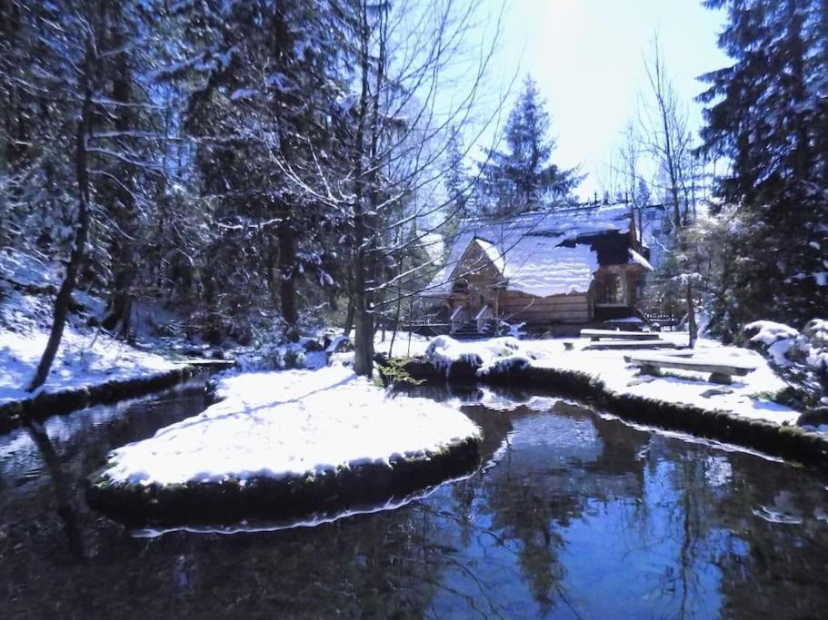 Domek Raj Zakopane Exterior photo
